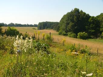 Aussicht vom Garten am Haus Giraffe