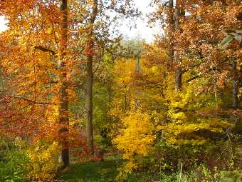 Garten im Herbst - Haus Giraffe