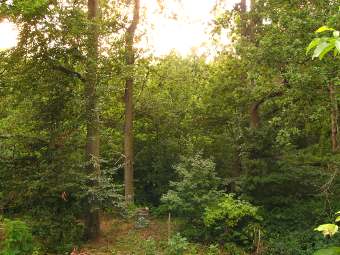 Garten im Sommer - Haus Giraffe